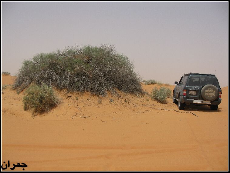 ���� ���� ������ �� ���� ������