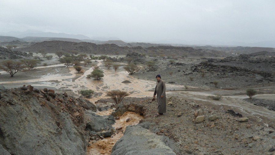 ���� ���� ������ �� ���� ������