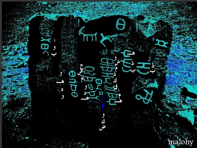 ���� ���� ������ �� ���� ������