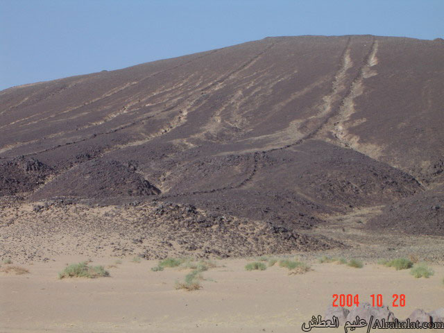 ���� ���� ������ �� ���� ������