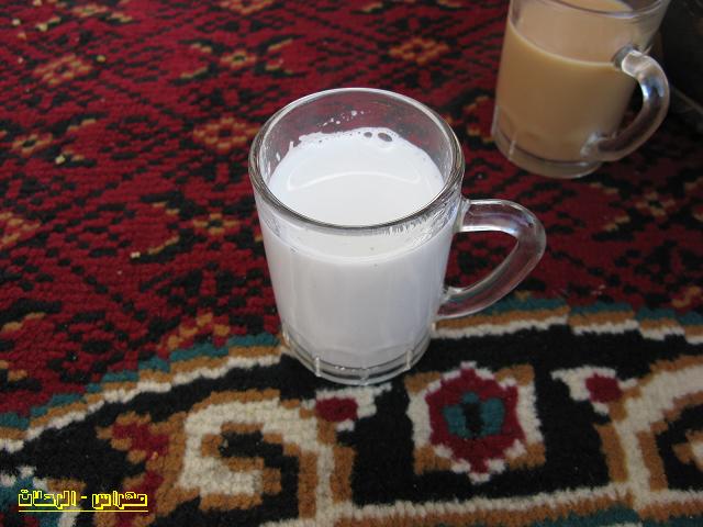���� ���� ������ �� ���� ������