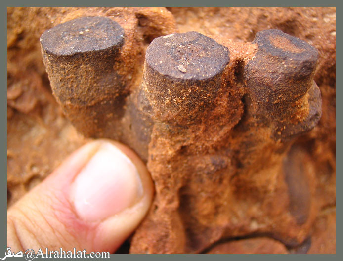 ���� ���� ������ �� ���� ������