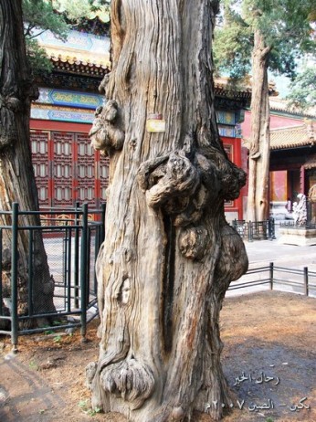 ���� ���� ������ �� ���� ������