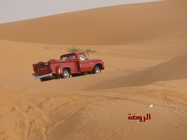 ���� ���� ������ �� ���� ������