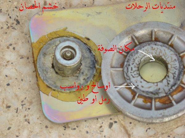 ���� ���� ������ �� ���� ������