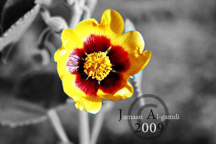 ���� ���� ������ �� ���� ������