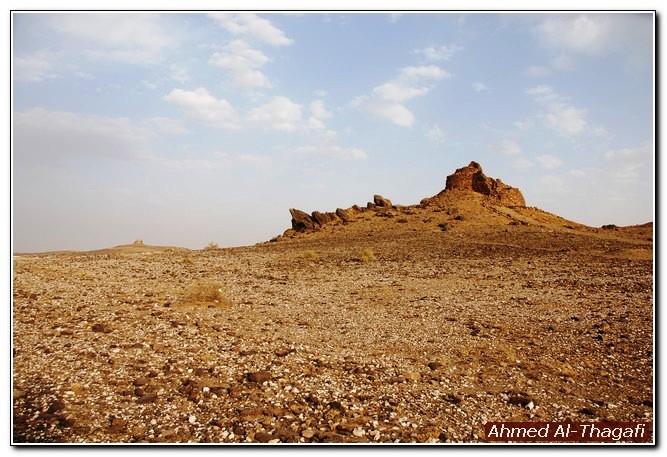 ���� ���� ������ �� ���� ������