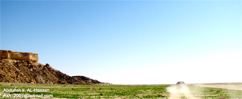 ���� ���� ������ �� ���� ������
